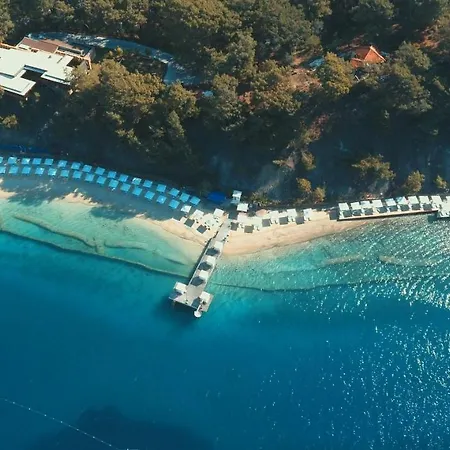 Portville Holiday Villas - Koi Villa *